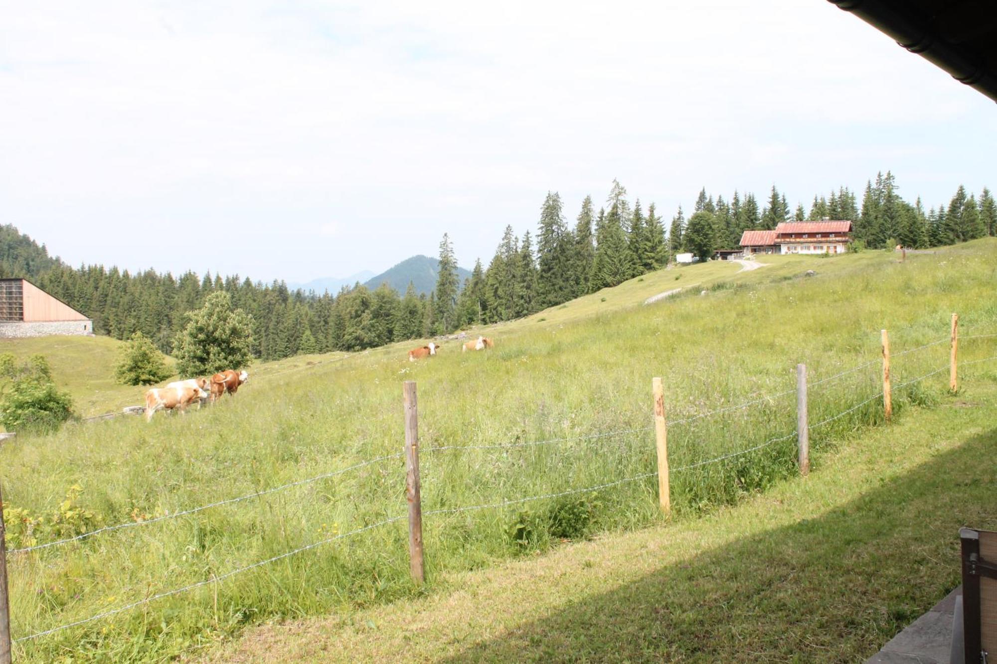 Hotel Winklmoos Sonnenalm à Reit im Winkl Extérieur photo